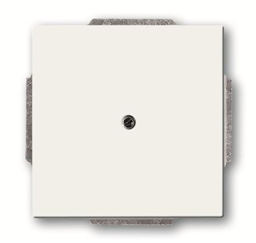 Busch-Jaeger 1742-884 Blindzentralscheibe mit Tragring Studioweiß-Matt Busch-Jaeger 1742-884 Blindzentralscheibe mit Tragring Studioweiß-Matt