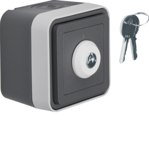 Berker 32713505 Schlüssel-Schalter, Wechsler 2 Positionen, Aufdruck '1' und '2' AP W.1 Grau Berker 32713505 Schlüssel-Schalter, Wechsler 2 Positionen, Aufdruck '1' und '2' AP W.1 Grau