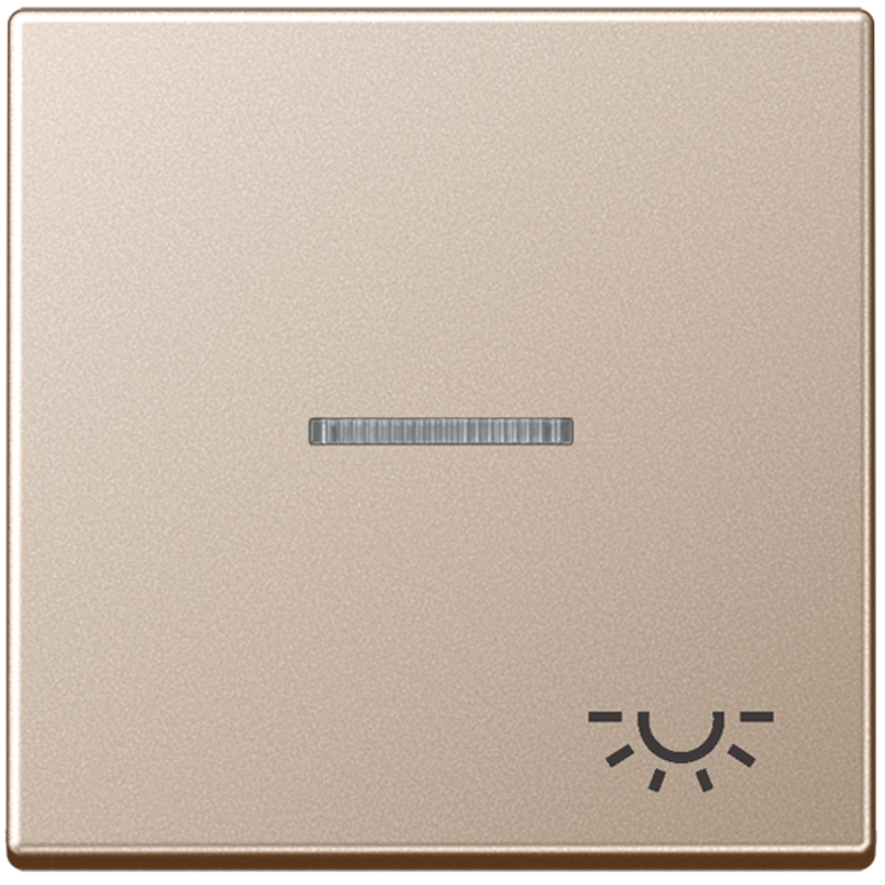 JUNG A590KO5LCH Kontroll-Wippe mit Symbol “Licht“ Champagner JUNG A590KO5LCH Kontroll-Wippe mit Symbol “Licht“ Champagner