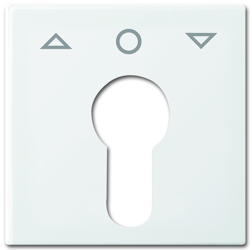 Busch-Jaeger 2557PZ-914-101 Abdeckung Profilhalbzylinder Alpinweiß Busch-Jaeger 2557PZ-914-101 Abdeckung Profilhalbzylinder Alpinweiß