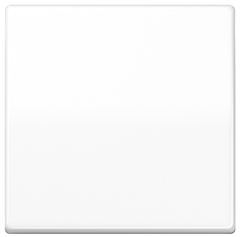 JUNG AS591WW Schalter/Taster Wippe
 Alpinweiß JUNG AS591WW Schalter/Taster Wippe
 Alpinweiß