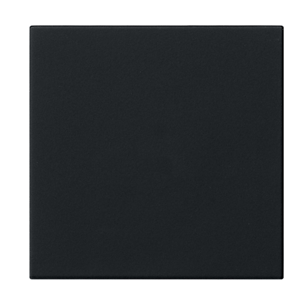 Gira 5360005 Bedienaufsatz System 3000 Schwarz Matt