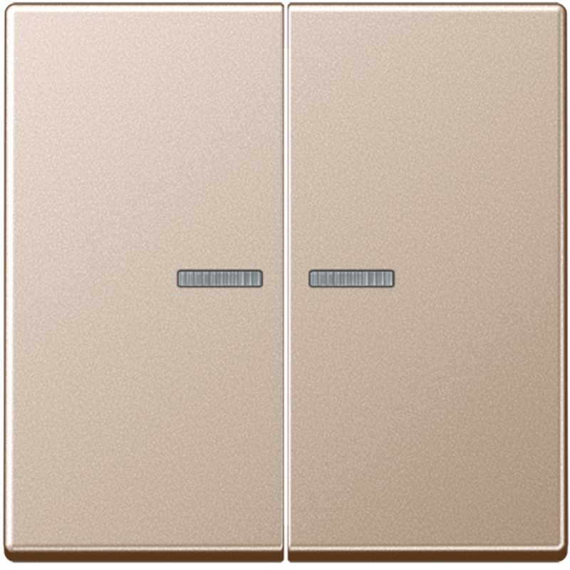JUNG A595KO5CH Kontroll-Serien-Wippe Champagner JUNG A595KO5CH Kontroll-Serien-Wippe Champagner
