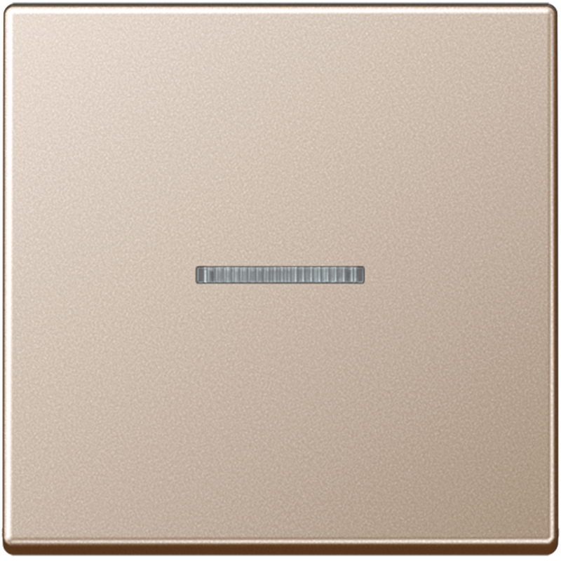 JUNG A590KO5CH Kontroll-Wippe Champagner JUNG A590KO5CH Kontroll-Wippe Champagner