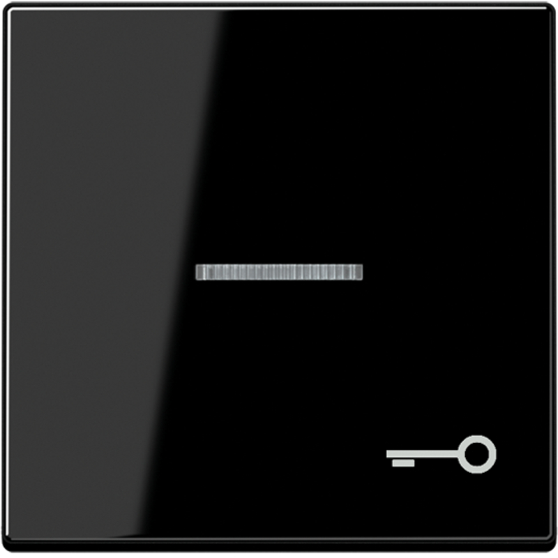 JUNG A590KO5TSW Kontroll-Wippe mit Symbol "Tür" Schwarz