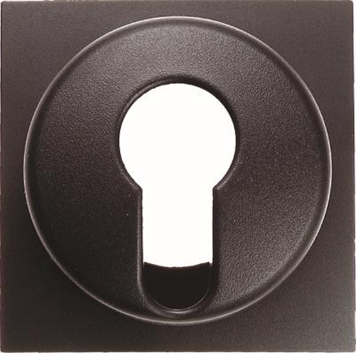 Berker 15071606 Zentralstück für Schlüsselschalter/-taster B.3/B.7 Anthrazit, Matt Berker 15071606 Zentralstück für Schlüsselschalter/-taster B.3/B.7 Anthrazit, Matt