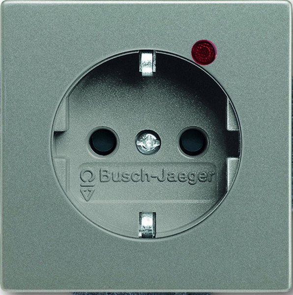 Busch-Jaeger 2310EUGL/VA-803-11 Steckdosen Einsatz "Busch-Protector®" Meteor-Graumetallic