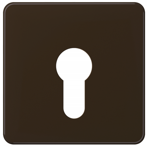 JUNG CD525BR Abdeckung für Schlüsselschalter ohne Demontageschutz Braun