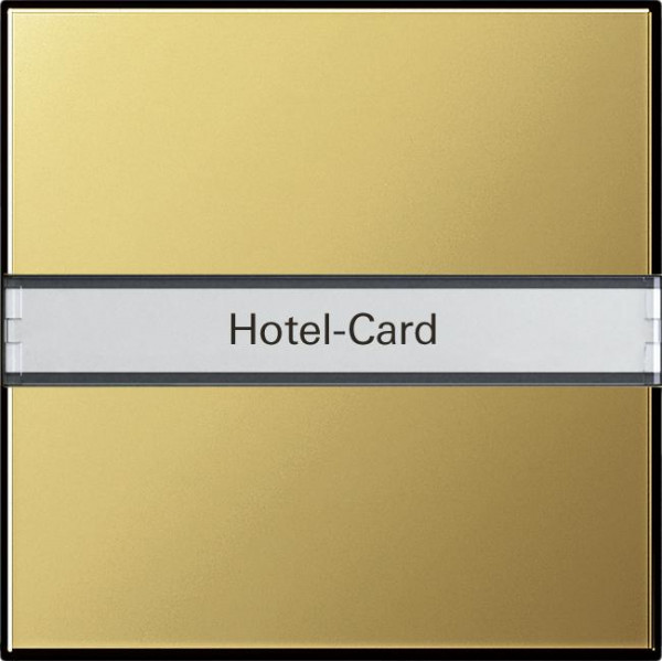 GIRA 0140604 Hotelcard-Schalter mit Beschriftungsfeld Messing