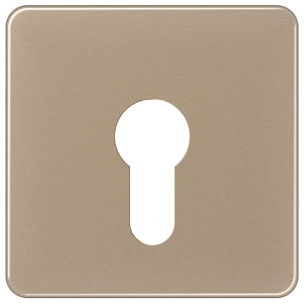 JUNG CD525GB Abdeckung für Schlüsselschalter ohne Demontageschutz Gold-Bronze