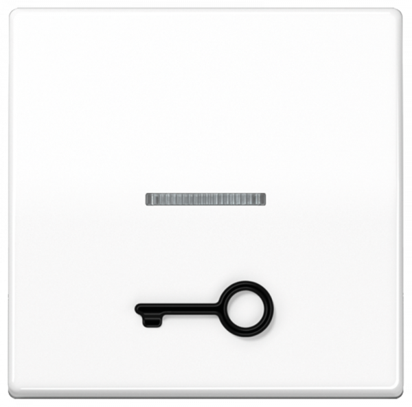 JUNG AS591T1KO5WW Kontroll-Wippe mit abtastbarem Symbol "Schlüssel" Alpinweiß