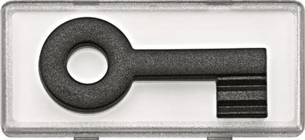 Merten 434792 Großes Schriftfeld mit tastbaren Kontrast-Symbol "Schlüssel" Glasklar