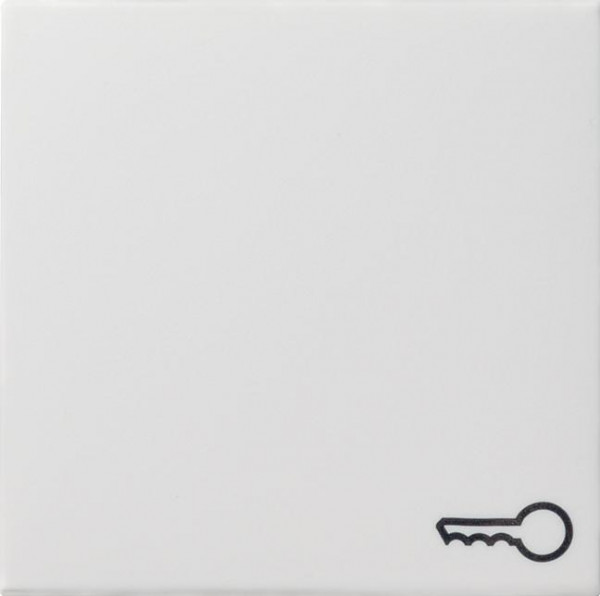 GIRA 028727 Wippe mit Symbol "Schlüssel" Reinweiß-Seidenmatt