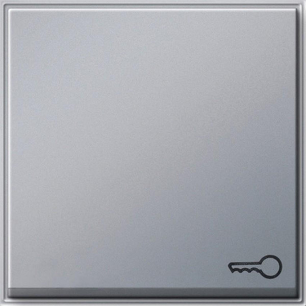 GIRA 028765 Wippe mit Symbol "Schlüssel" Farbe-Alu