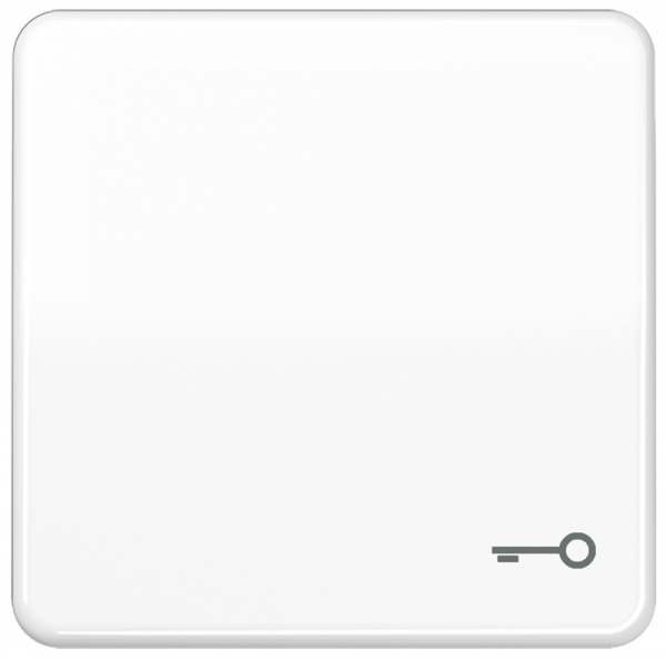JUNG CD590TWW Wippe mit Symbol "Schlüssel" Alpinweiß