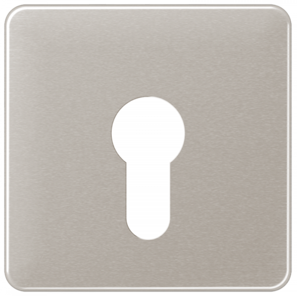 JUNG CD525PT Abdeckung für Schlüsselschalter ohne Demontageschutz Platin