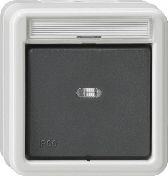 GIRA 010231 AP-Ausschalter 2-Polig mit Beschriftungsfeld IP66 Grau