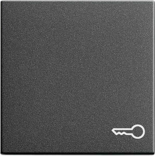 GIRA 028728 Wippe mit Symbol "Schlüssel" Anthrazit