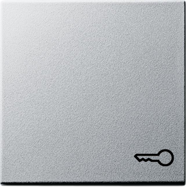 GIRA 028726 Wippe mit Symbol "Schlüssel" Farbe-Alu