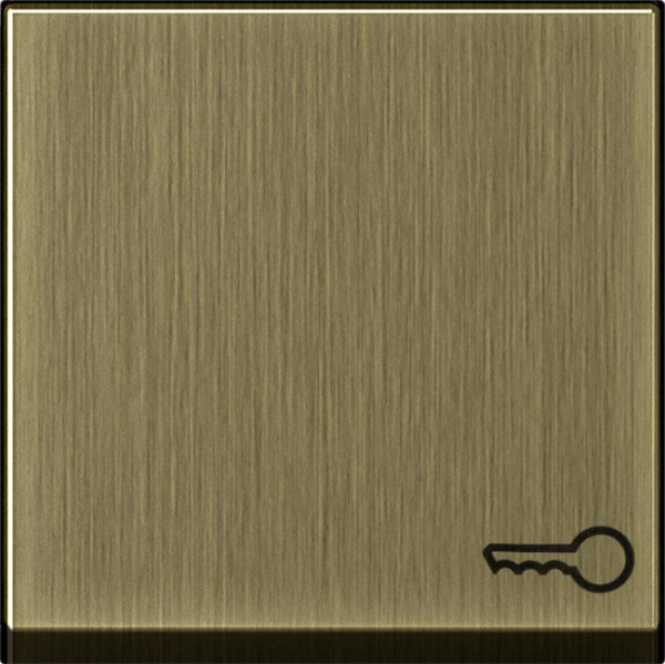 GIRA 0287603 Wippe mit Symbol "Schlüssel" Bronze