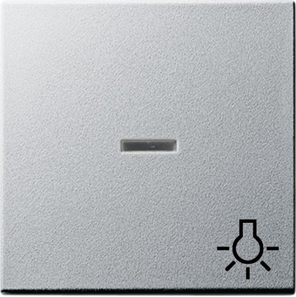 GIRA 067426 Kontroll-Wippe mit Symbol "Licht" Farbe-Alu