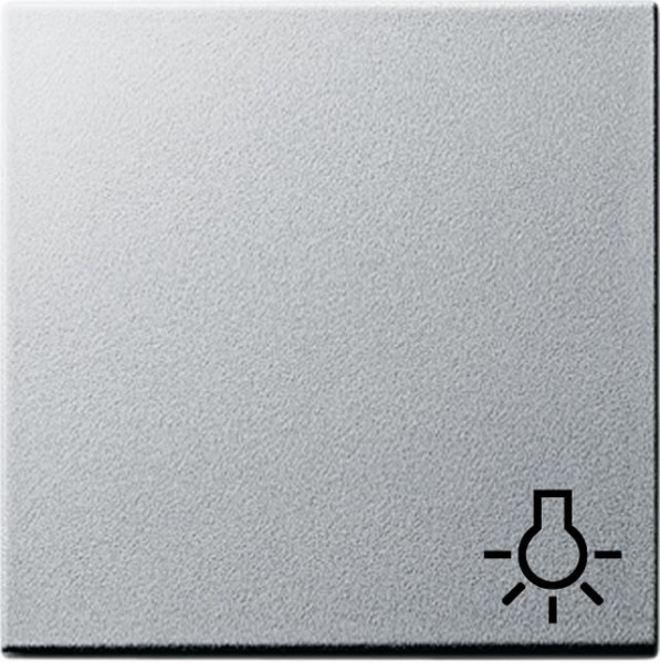 GIRA 028526 Wippe mit Symbol "Licht" Farbe-Alu