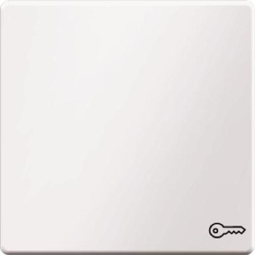 Berker 16206069 Wippe mit Aufdruck Symbol Tür Q.1/Q.3 Polarweiß, Samt