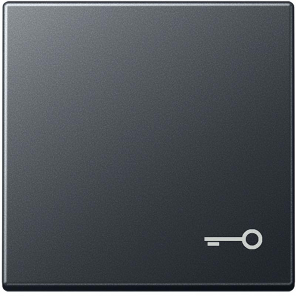 JUNG A590BFTANM Wippe mit Symbol "Tür" Anthrazit-Matt