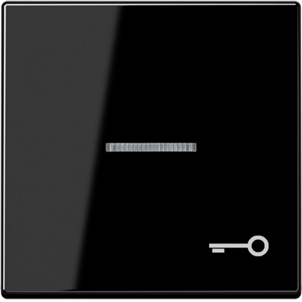 JUNG A590KO5TSW Kontroll-Wippe mit Symbol "Tür" Schwarz